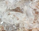 Transparent Selenite Crystal Cluster on Matrix - Mexico #45201-3